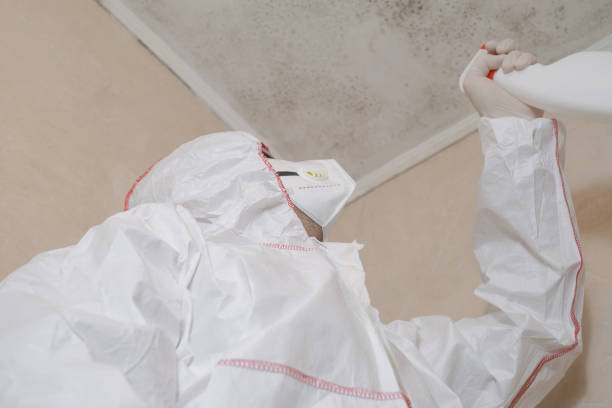 Best Residential Mold Remediation in Colfax, LA